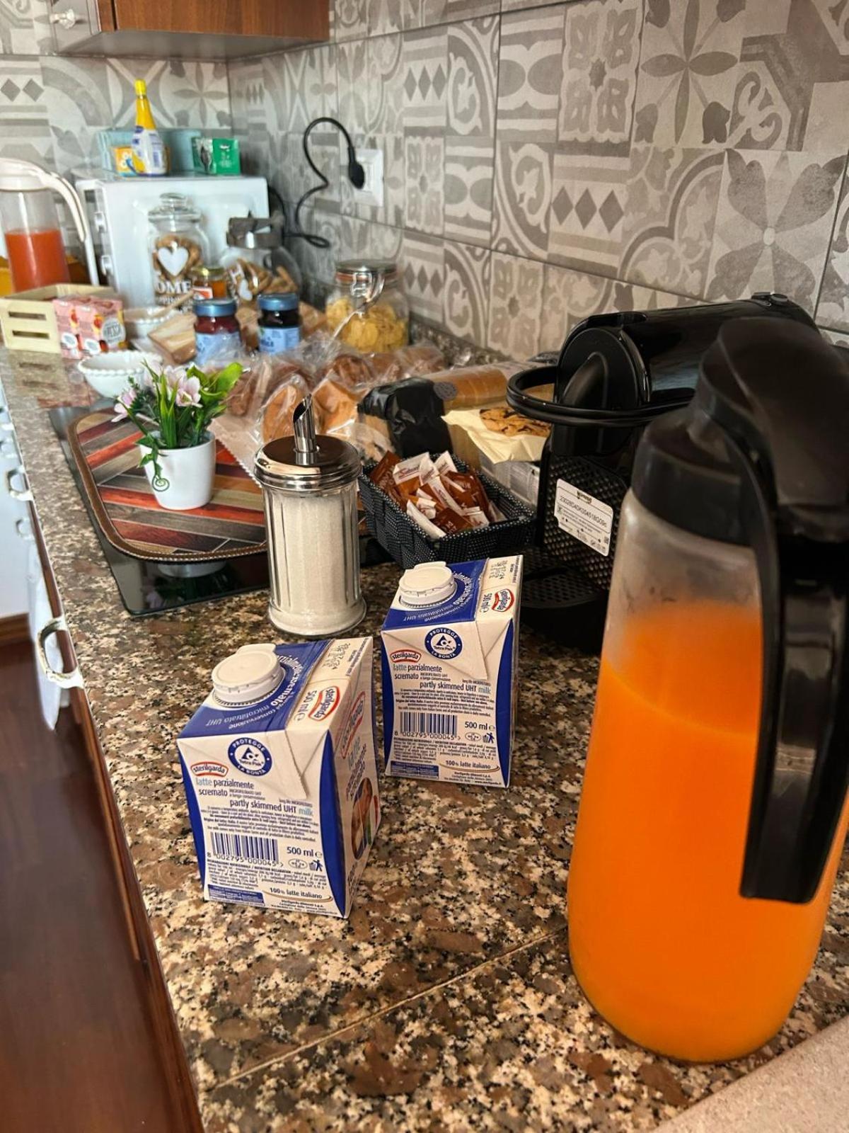 I 4 Mori Bed & Breakfast Fiumicino Luaran gambar